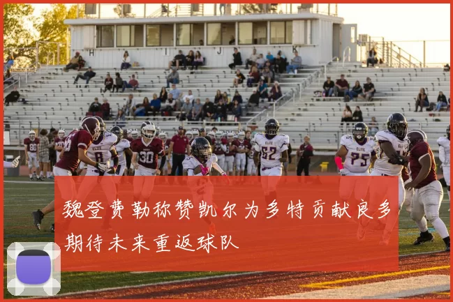 魏登费勒称赞凯尔为多特贡献良多期待未来重返球队